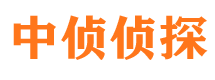 从江市私家侦探